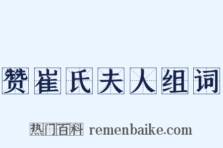 赞崔氏夫人组词是什么意思的图片